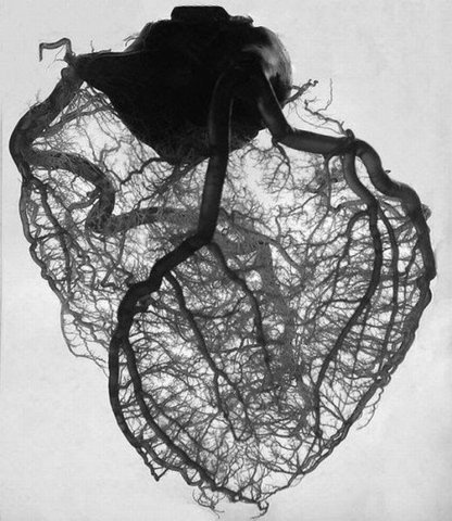 see more #heart