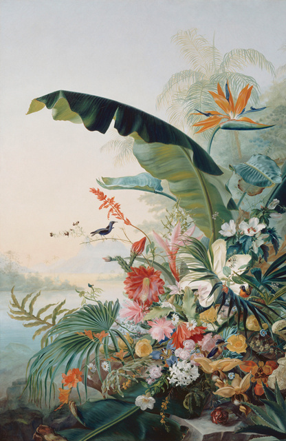Exotic flowers #pastels #floral #nature #art #flower #flowers #green