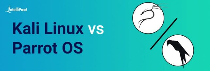 Parrot OS vs Kali Linux: Which One Is Better? - Intellipaat