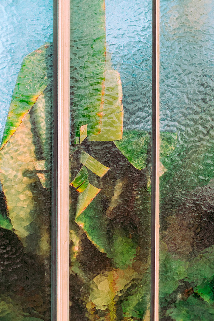 floral, botanical, abstract
