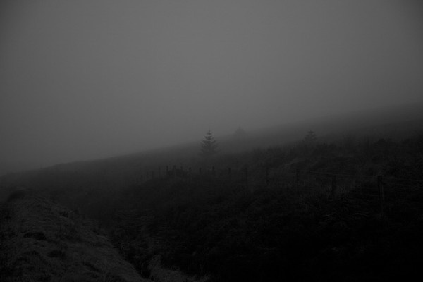 place oppositepage #white #black #mist #photography #and #mood #dark