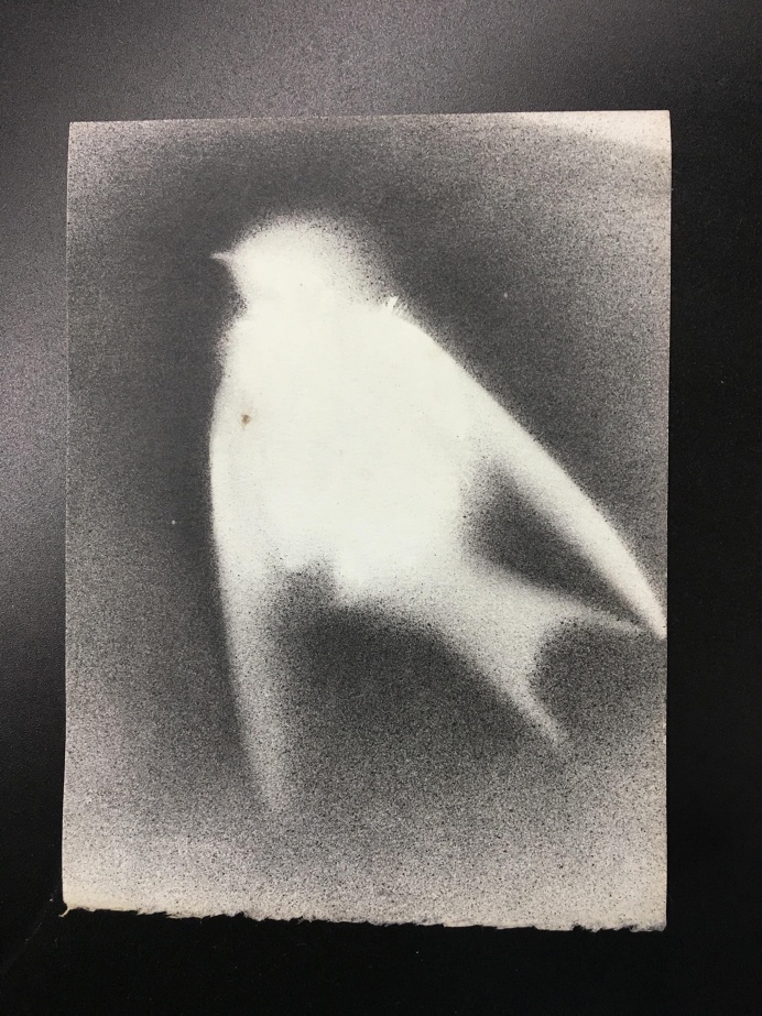 https://walker-web.imgix.net/cms/Grant-Hart-flying-bird-e1505767834955.jpg