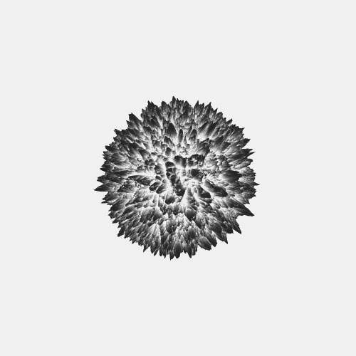 #minimal #jameszanoni #art #form #organic #blackandwhite
