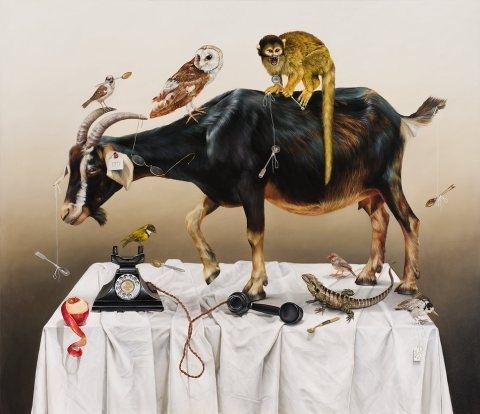Kate Bergin | PICDIT #painting #animal #art