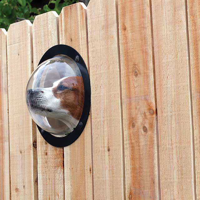 Pet Peek Dog Window #tech #flow #gadget #gift #ideas #cool