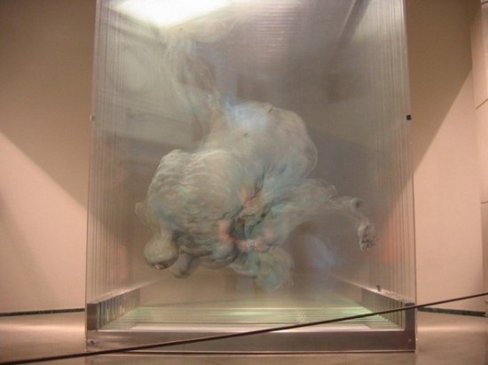 xia xiaowan1 #glass