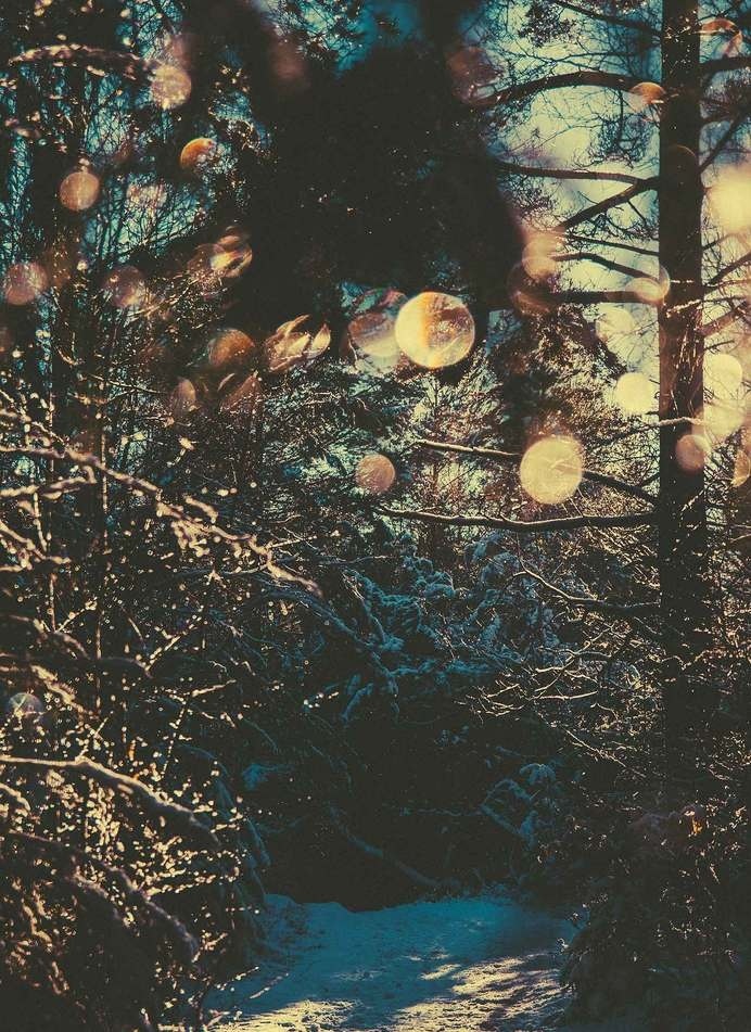Weight of light. #sweden #nordic #forest #light #winter