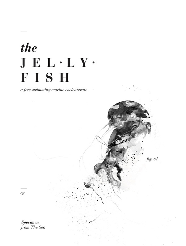 Taxidermy of Organisms Sarah.T & Reinold.L #arts #visual #design #publication