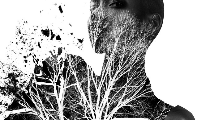 illustration, collage