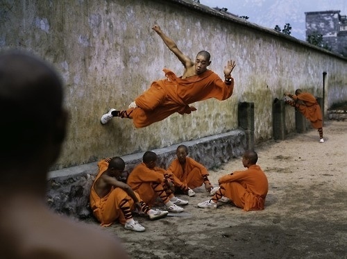 gosta / . #movement #arts #orange #martial