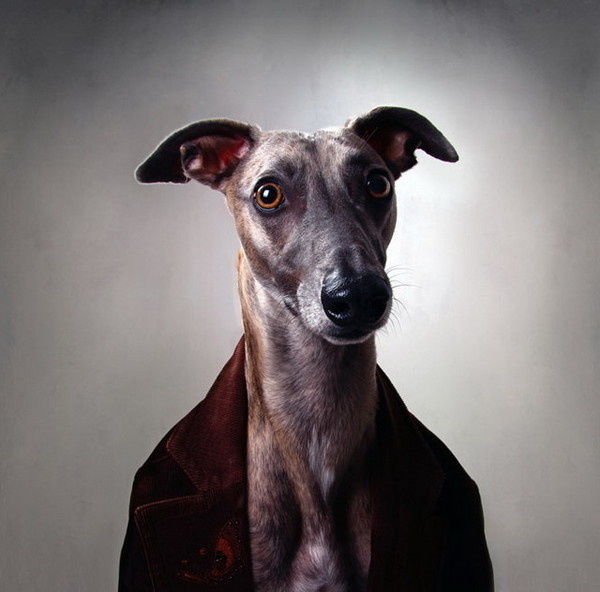 Fine Art Photography by Flora Borsi #inspiration #photography #art #fine