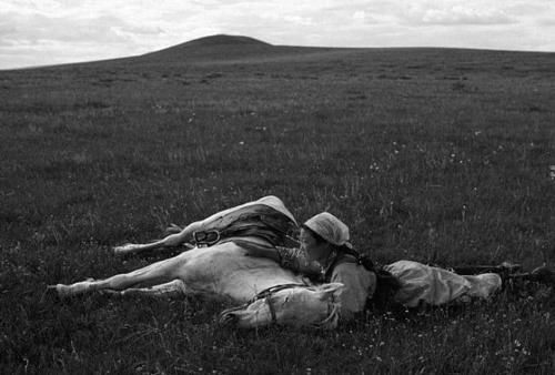 That Kind Of Woman #mongolia #horse #arnold #militia #training #the #eve #inner #photography #for #1979