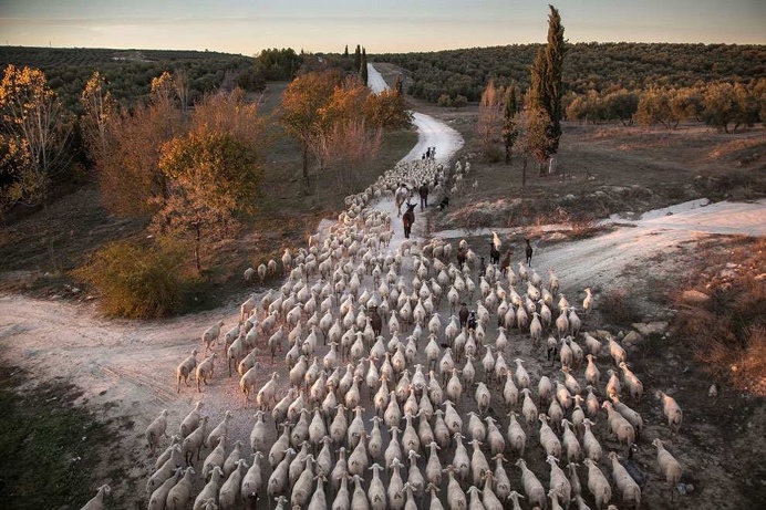 Atkins CIWEM Environmental Photographer Of The Year 2016 Shortlist