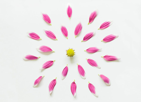 exploded flowers by fong qi wei #flower #explode
