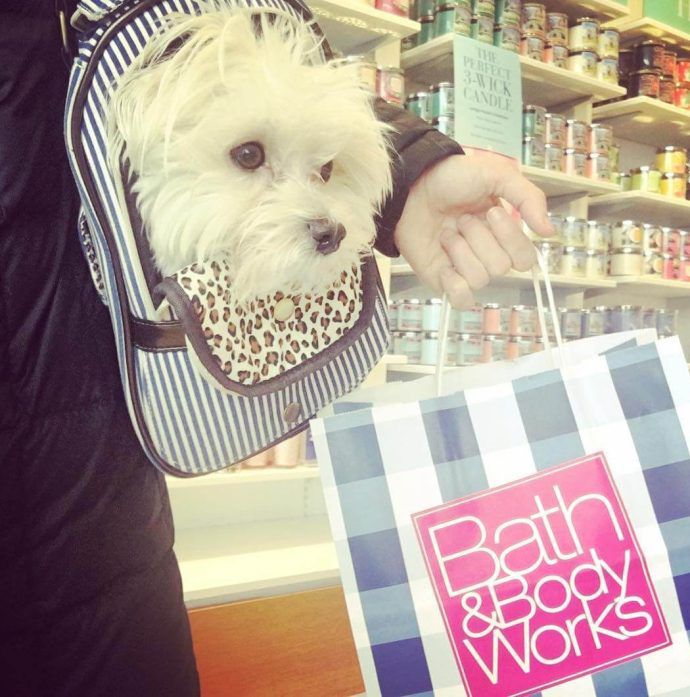 Most Dog Friendly Stores in America - Bath and Body Works