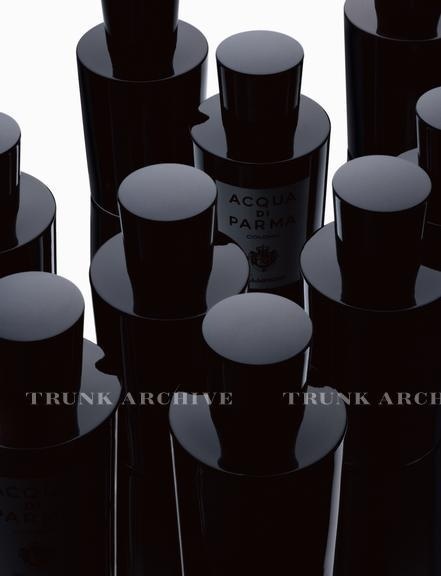 Trunk Archive Search Result