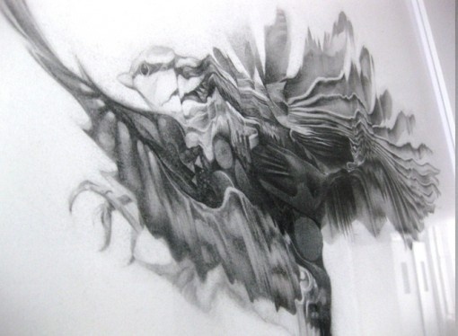 NTHN blog #motion #graphite #drawing #bird