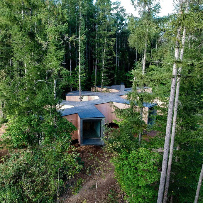 House in the Forest by Florian Busch Architects