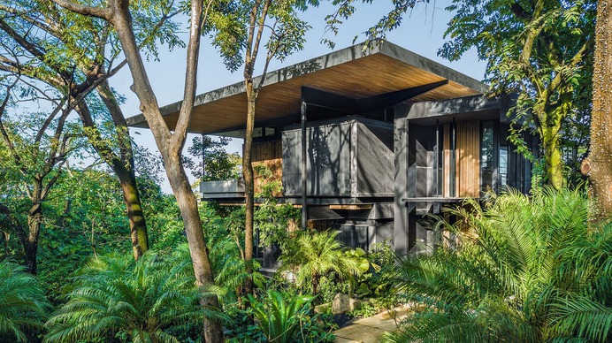 Raintree House is the ultimate Costa Rica sanctuary
Raintree House by Studio Saxe is a Costa Rica sanctuary in the jungle

