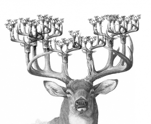 Фрактальный олень #deer #drawing #fractals