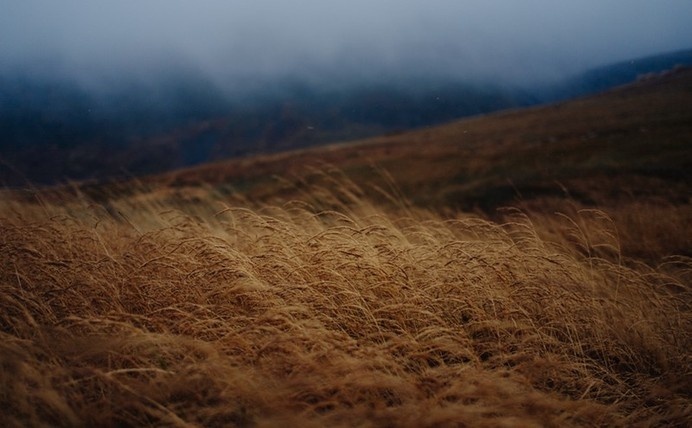 "Alpine Sunrise" by Noah Stammbach. "My spirit home in Australia" #landscape
