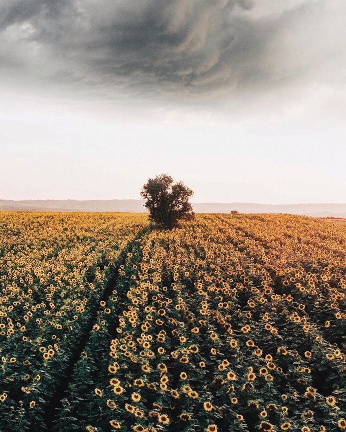 #instatravel: Outstanding Travel Landscape Photography by Ahmet Erdem