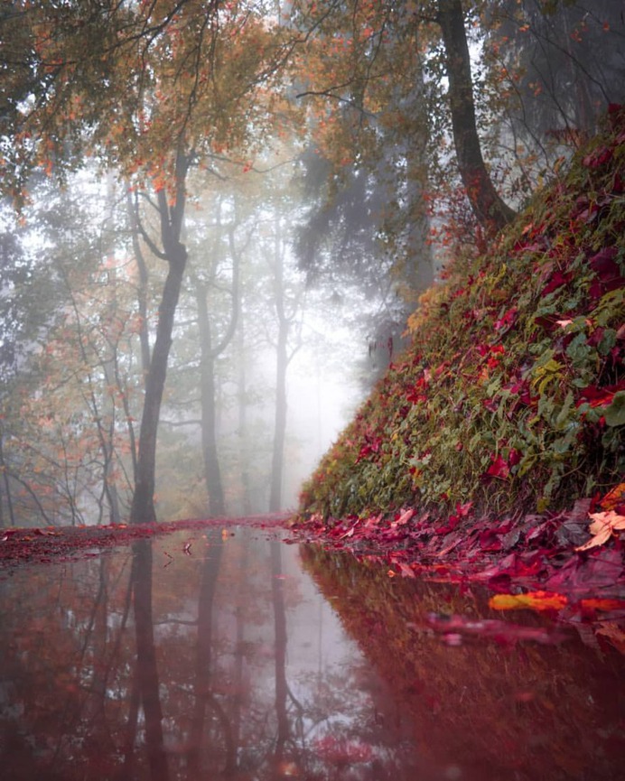 Fantastic Natural Landscapes in Switzerland by Sinhue Boksberger