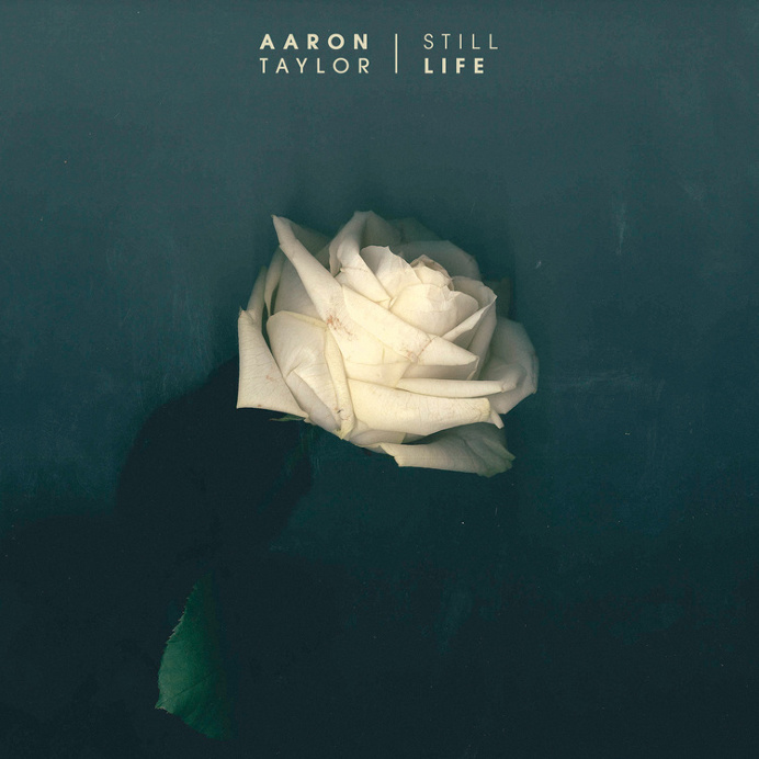 #rose #white #cover #album #art