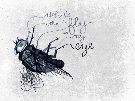492 - Six Word Story Every Day #six #word #illustration #fly #story #typography