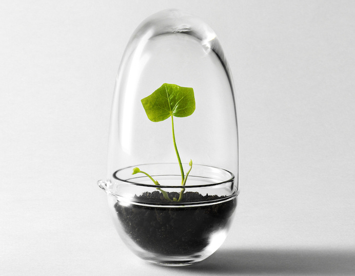 Grow Mini Greenhouse #tech #flow #gadget #gift #ideas #cool