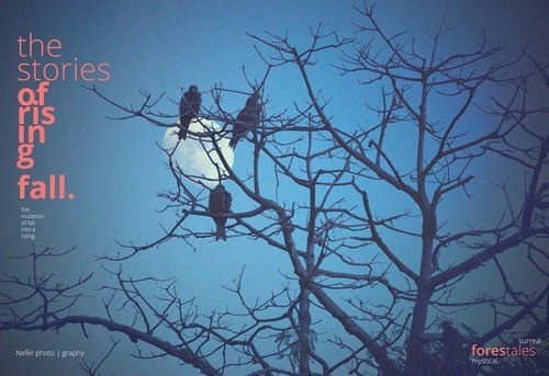 The Moon Rising #blue #sky #birds #winter #tree #moon #dusk #cold #typo