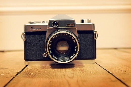 websitesarelovely: Spring light is golden #camera #photography #retro #flickr