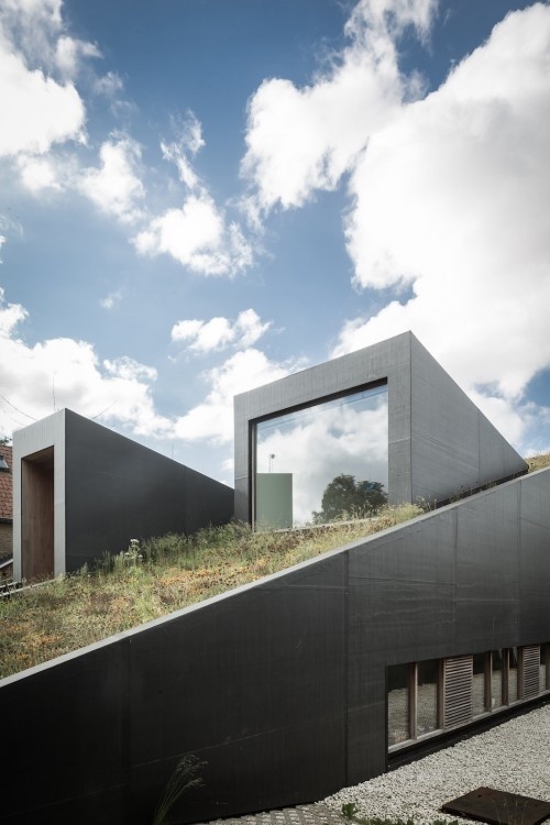 OYO: House pibo