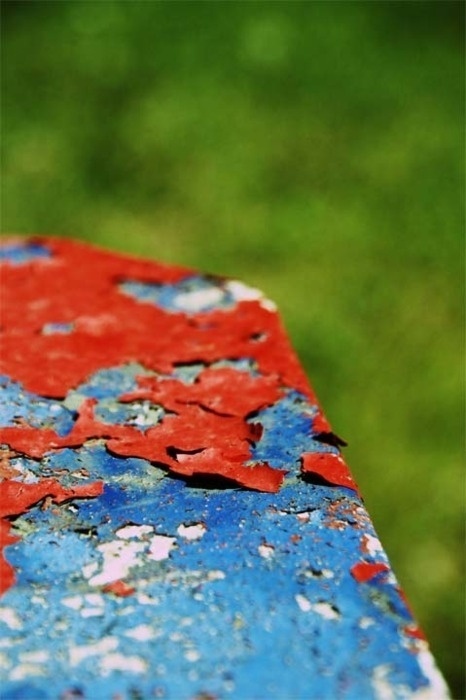 Tumblr #field #red #grass #depth #of #color #paint #photography #blue #table #green