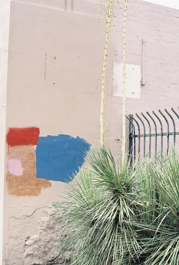 Sam Launius | PICDIT
