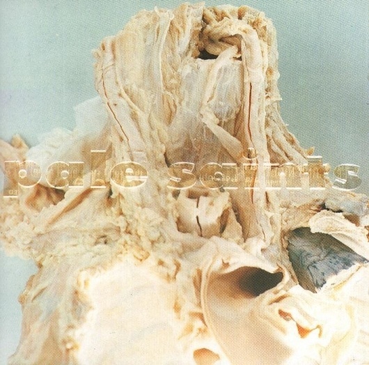 396487_3205243180664_1553684981_2751389_647180767_n.jpg (JPEG Image, 706 × 699 pixels) #saints #album #sleeve #pale