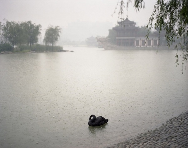 Chinese Sentiment by Shen Wei #inspiration #photography #art #fine