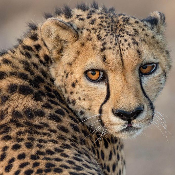 Beautiful Nature Photography by National Geographic Photographer Michael Melford