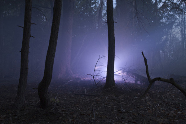 Amelia Bauer #inspration #photography #art