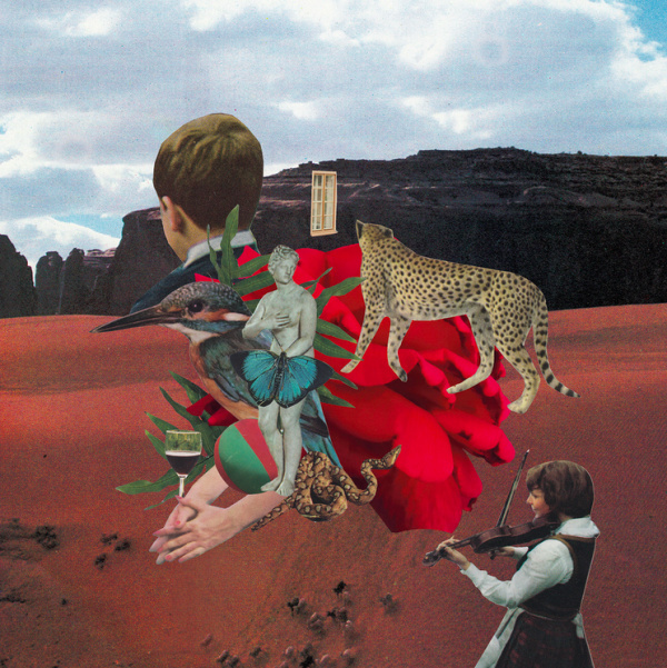 Nicole Ellsworth | PICDIT