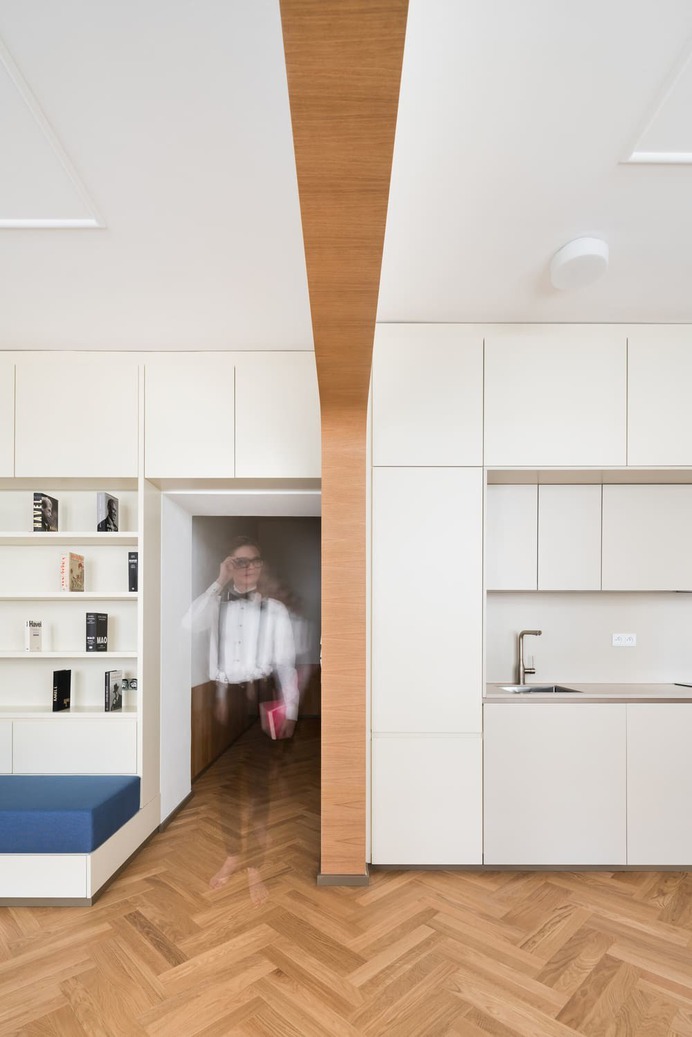 Dejvice Apartment by No Architects