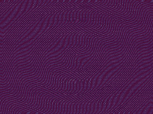 41