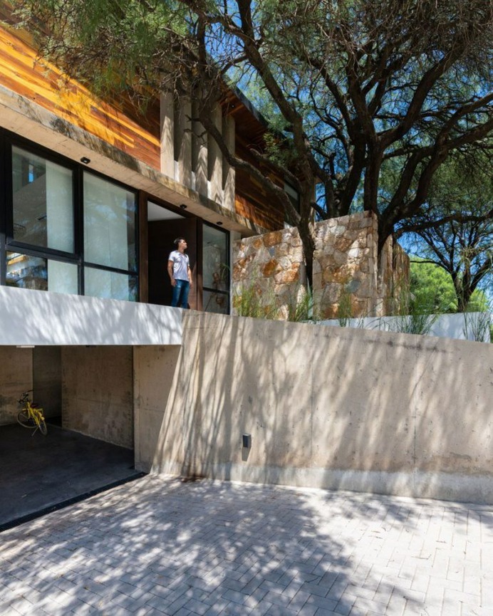 Nagus House – "Behind the Tree" Residential Project by IASE Arquitectos