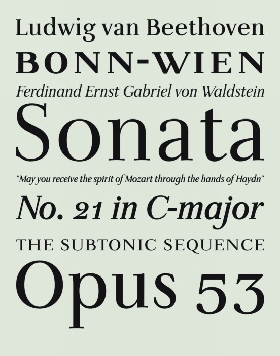 Waldstein by Lars Bergquist #font #modern #serif #fountain #type #typography