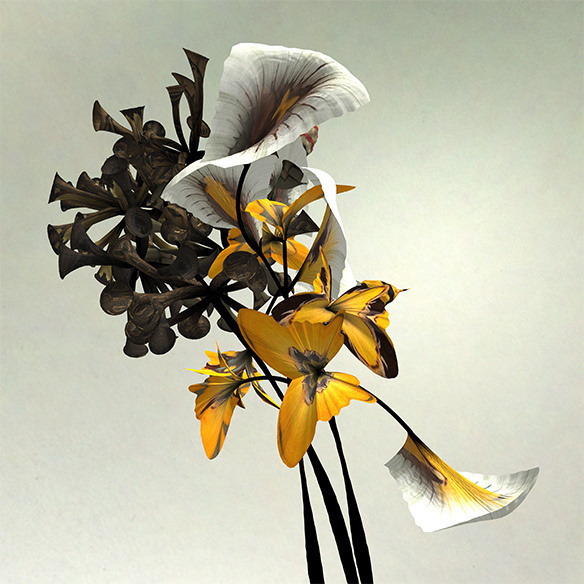Daniel Brown's #flower