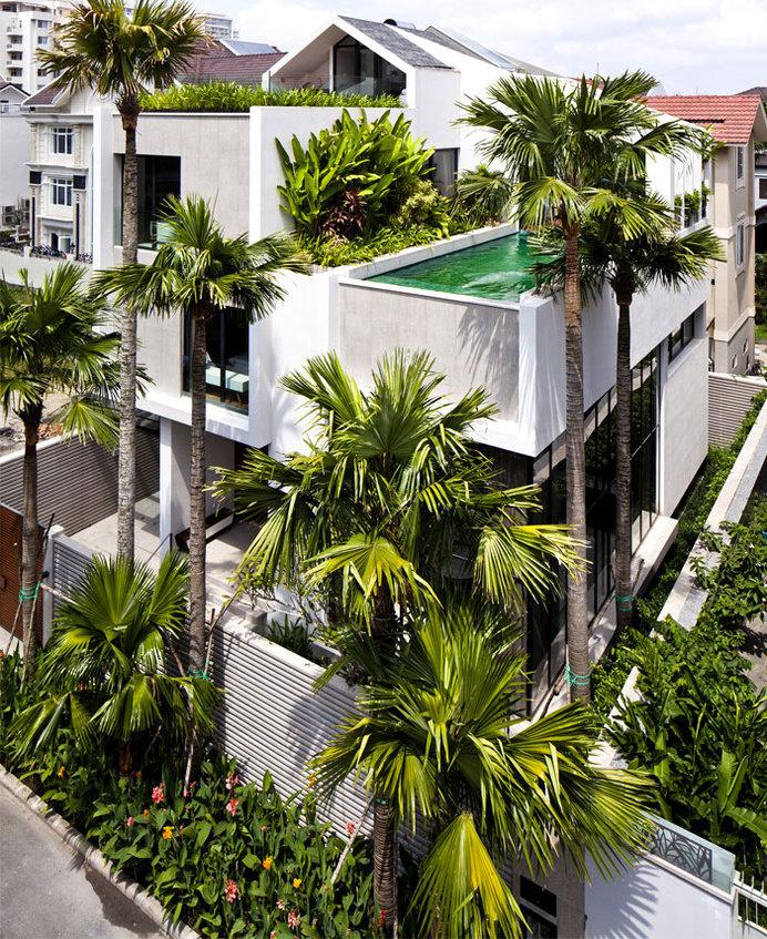 Stylish, Clear Lined NQ House three level house 5 #house #terrace #design #pool #architecture