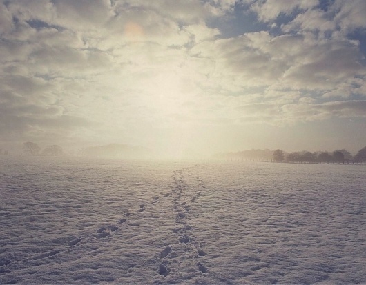 Antony Crook #photo