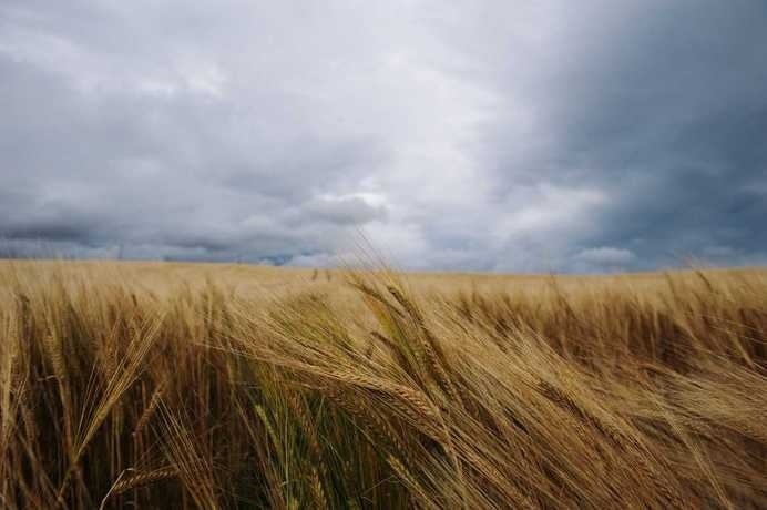Landscape Photography by Chris Ozer #inspiration #photography #landscape