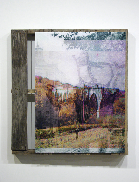 Ian_Pedigo_bisonroman #print