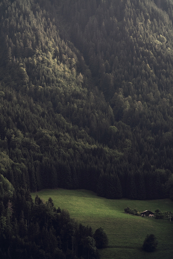 Untitled | Flickr Photo Sharing! #inspy